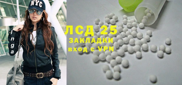 индика Михайлов
