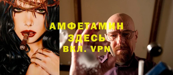 индика Михайлов