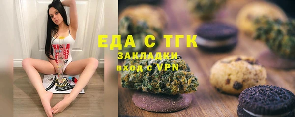индика Михайлов