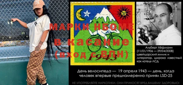 индика Михайлов