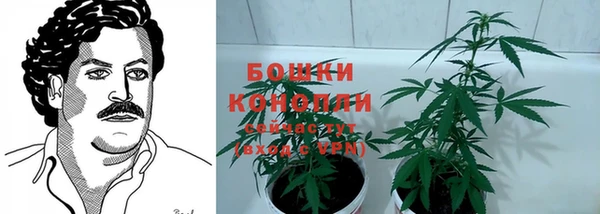 индика Михайлов