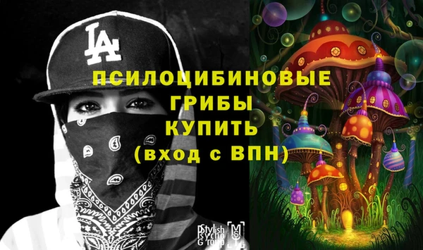 хмурый Билибино