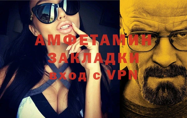 индика Михайлов
