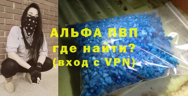 индика Михайлов
